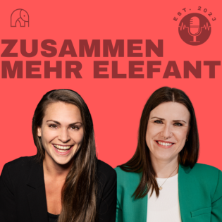 #040 Wenn die Transformation nicht klappt