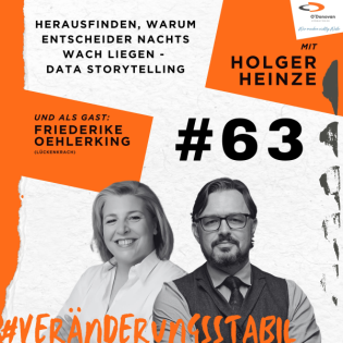 Ep. 63: Herausfinden, warum Entscheider nachts wach liegen - Data Storytelling (Talk mit Friederike Oehlerking)