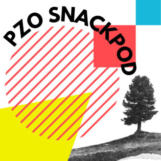 S1 E3 // SNACKPOD: Wolf-Christian Strauss über die Wichtigkeit des Ländlichen Raums