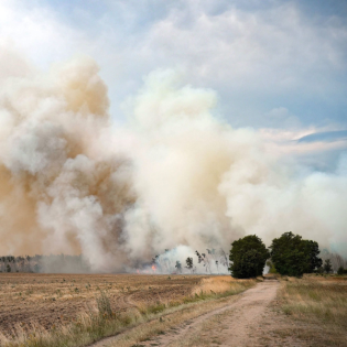 Sachsen prüft Munitionsberäumung in der Gohrischheide