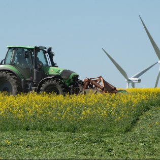 Lohnt sich ökologische Landwirtschaft noch in Sachsen-Anhalt?