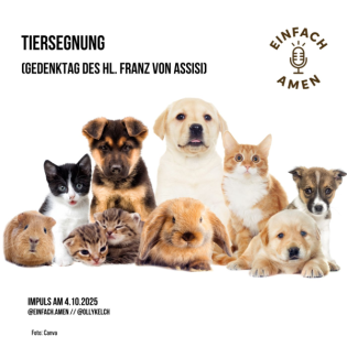 Tiersegnung am Gedenktag des Hl. Franz von Assisi (4.10.2025)