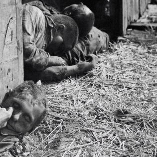Geschichten aus Sachsen-Anhalt: Massaker von Isenschnibbe