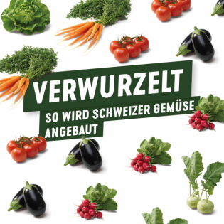 Gemüse Boom: Jetzt gibt's (fast) alles frisch vom Feld!