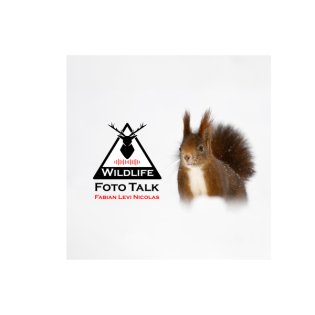 Wildlife Foto Talk Folge 4 - Neues Objektiv, Neujahrsvorsätze und Micro-Four Thirds