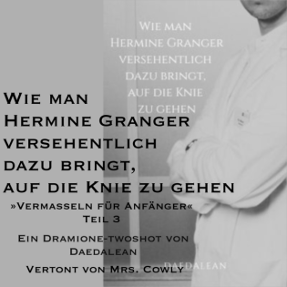 Wie man Hermine Granger versehentlich dazu bringt, auf die Knie zu gehen | Teil 2/2 | Dramione Fanfiction Twoshot