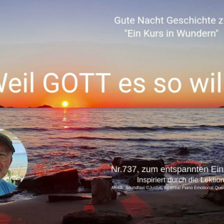 Nr.737 Weil GOTT es so will