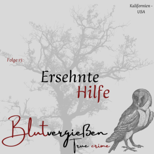 #15 Gabriel F. - Ersehnte Hilfe