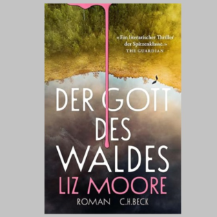 "Der Gott des Waldes", Roman von Liz Moore