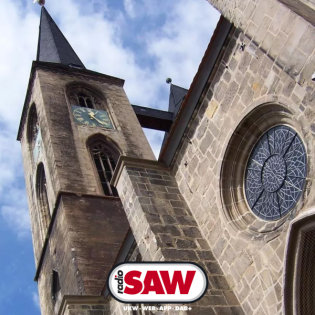 Interreligiöses Mitbringpicknick auf den Elbwiesen in Magdeburg