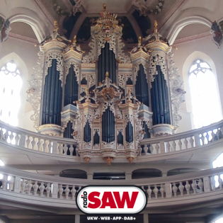 Internationaler Orgelsommer an der Hildebrandt-Orgel Naumburg