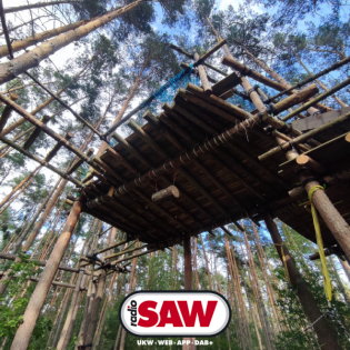 Baumhausbau in Friedensau: Sicherheit ist A und O