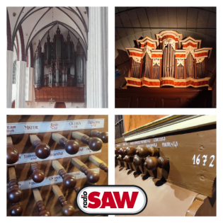 Ab Sonntag: Internationale Orgeltagung in Magdeburg