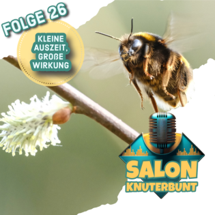 26 - Kleine Auszeit, große Wirkung