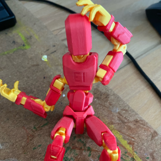 𝟓𝟐𝟕#|3-D Druck🧅|Zukunft oder Spielzeug?️|~