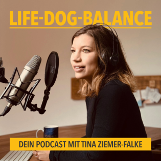 #3 Wenn’s draußen stürmt und regnet – so bleibt dein Hund mental ausgelastet