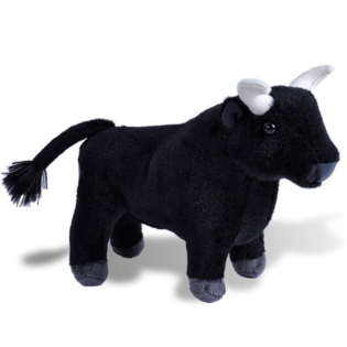 WOHNMOBIL NEWS IM ZEICHEN DES STIERS Folge 22 vom 4.3.25-11.3.25