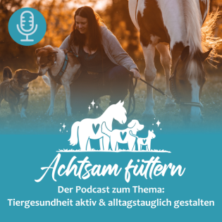 Folge #15 - Winterfütterung im August? Warum genau jetzt der richtige Zeitpunkt ist mit der Umstellung zu starten