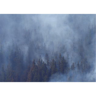 While the Fire Burns zeigt mehr als nur ein Feuer