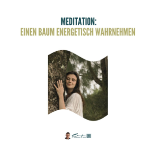 Nimm einen Baum energetisch wahr