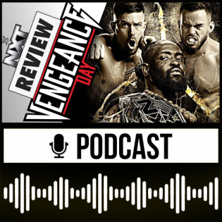 NXT Vengeance Day 2025 🟡 Wenn dein Kiefer bricht – Wrestling Review 15.02.2025