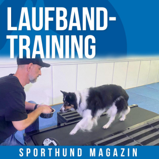 #27 Laufbandtraining