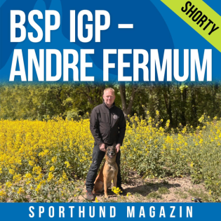 Shorty: BSP IGP – Andre Fermum