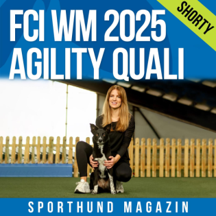 Shorty: FCI WM 2025 Agility Quali - Bozena Plaẞmann