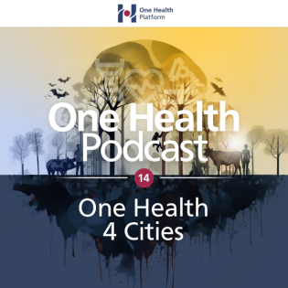 One Health 4 Cities