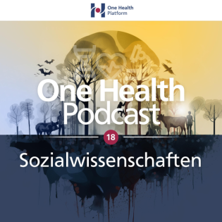 Sozialwissenschaften