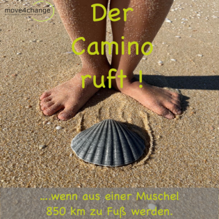 Der Camino ruft! Wenn aus einer Muschel 850 km zu Fuß werden !
