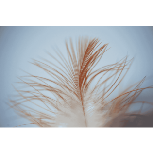 S04E08: Meta-Nota-Bene: OLG Köln zum KI-Training von Facebook, Whatsapp und Instagram I