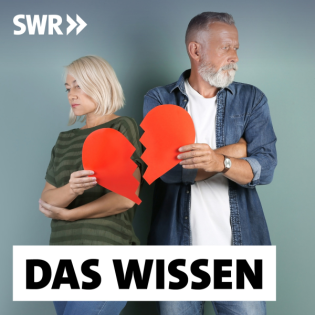 Scheidung nach der Silberhochzeit – Warum sich Langzeit-Paare trennen