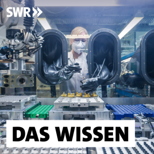 Innovative Batteriezellen – Wie wird Deutschland wettbewerbsfähig?