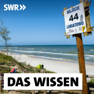 AKW am Ostseestrand? – Warum Polen auf Atomkraft setzen will