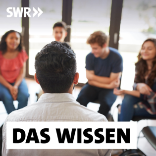 Sinti und Roma in der Schule – Diskriminierung überwinden