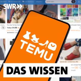 Online-Shopping bei Temu – Billig dank illegaler Tricks?