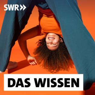 Erfolg durch Verspieltheit – "Playfulness" im Beruf und im Privaten