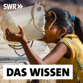 Wie wirkt sich der Klimawandel auf unsere Gesundheit aus?
