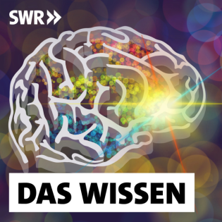 Kreativität – Was im Gehirn passiert, wenn wir Neues erfinden (1/2)