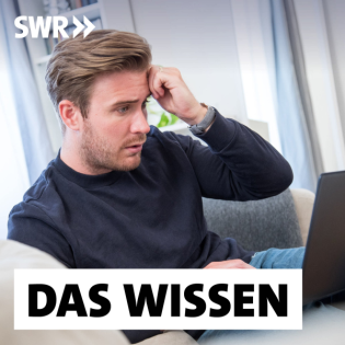 Selbstdiagnose und Cyberchondrie – Wenn Informationen krank machen