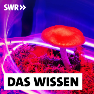 Drogen in der Psychotherapie – Fragwürdig oder erfolgversprechend?