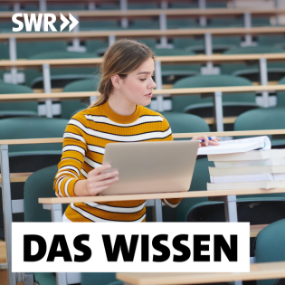 Private Hochschulen boomen – Eliteprojekt oder Bildung für alle?