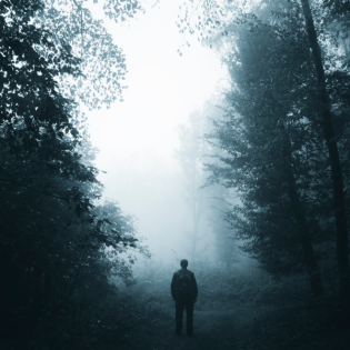 Helga M. Novak: Die Schwedenchronik