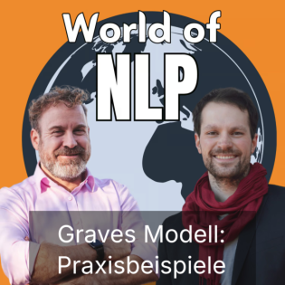 Spiral Dynamics 2: Fallbeispiele (#049)