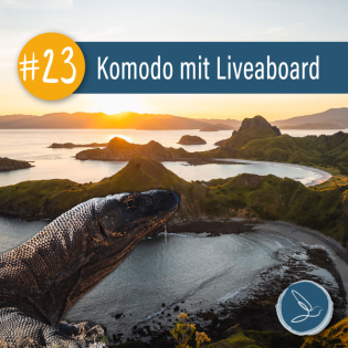 Komodo mit dem Liveaboard: Von Mantas und Mega-Strömungen