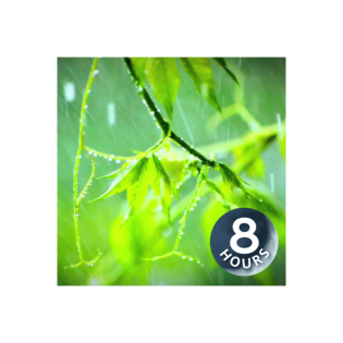 Regenschauer | Naturgeräusche für Entspannung und Schlaf (8 Stunden)