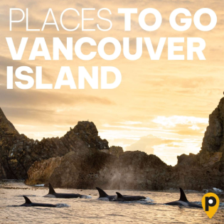 Vancouver Island – Küste & Regenwald