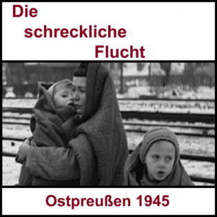 #5 - Die schreckliche Flucht