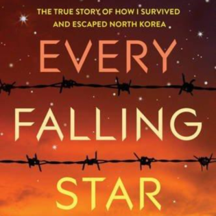 Every Falling Star: The Resilience of Hope in the Face of Adversity